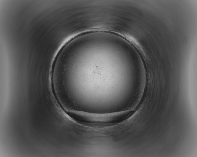 X0000087381288200704201239