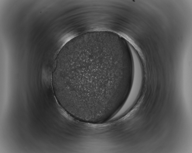 X0000087381289200704201239