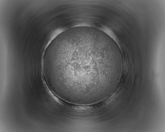 X0000087381290200704201239