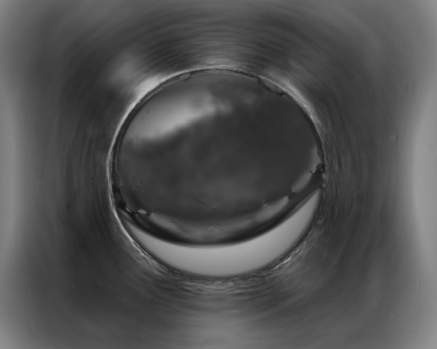 X0000087381291200704201239