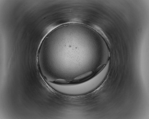 X0000087381292200704201239