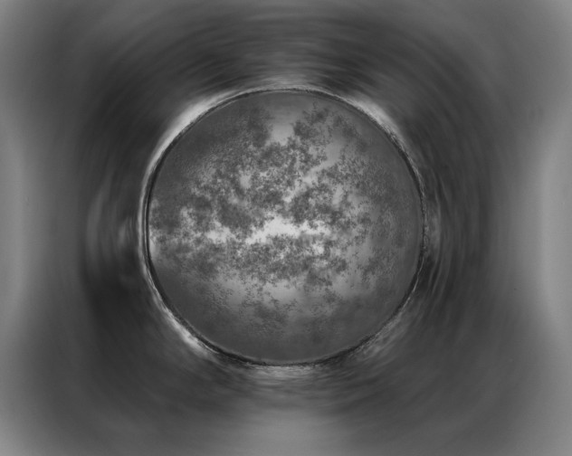 X0000087381294200704201239