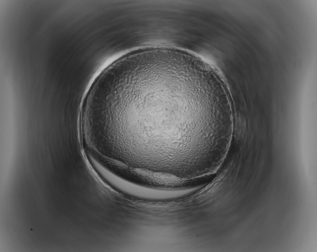 X0000087381295200704201239