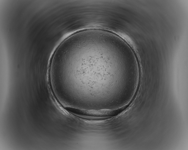 X0000087381296200704201239