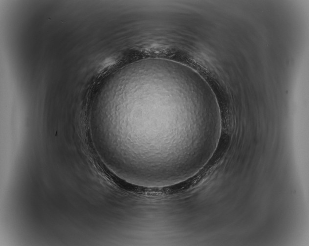 X0000087381297200704201238