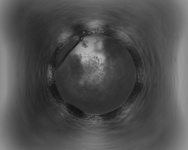 X0000087381298200704201238