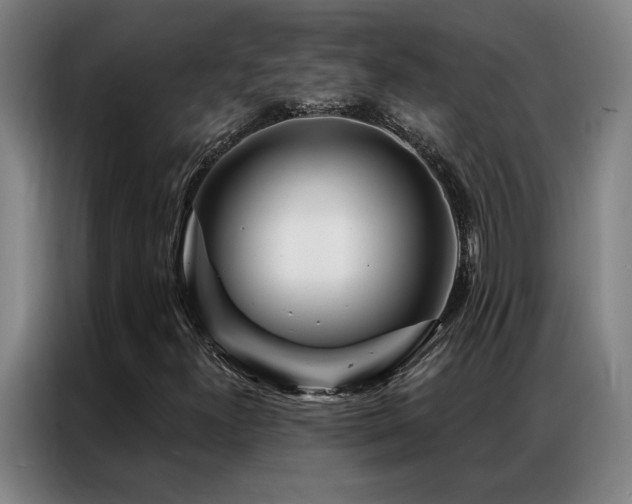 X0000087381300200704201238