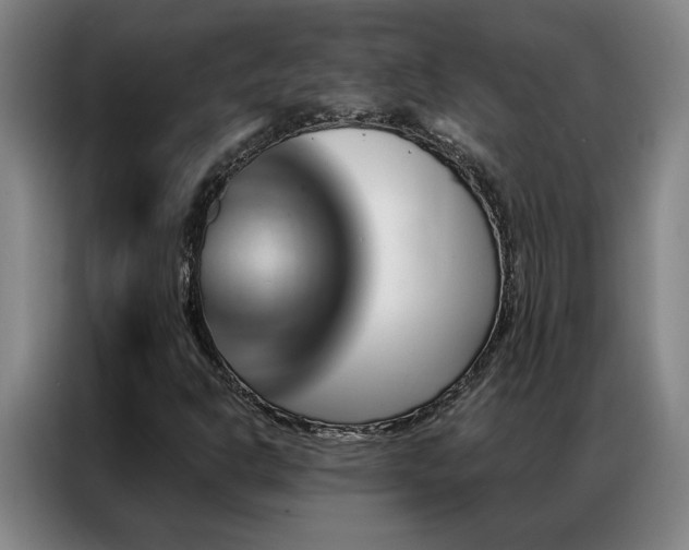 X0000087381302200704201238