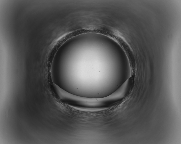 X0000087381304200704201238