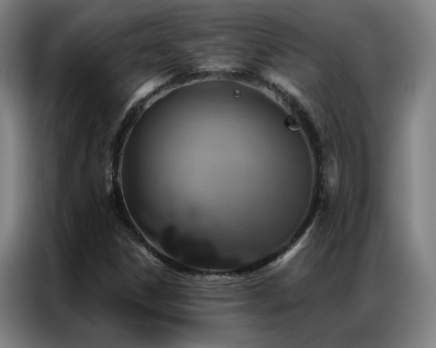 X0000087381306200704201238