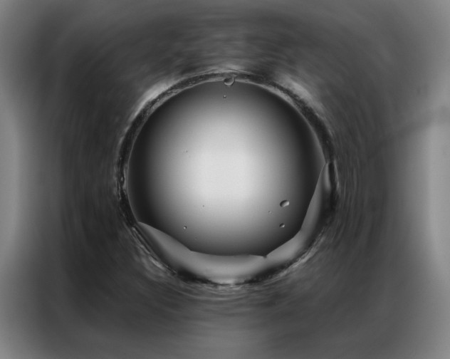 X0000087381308200704201238