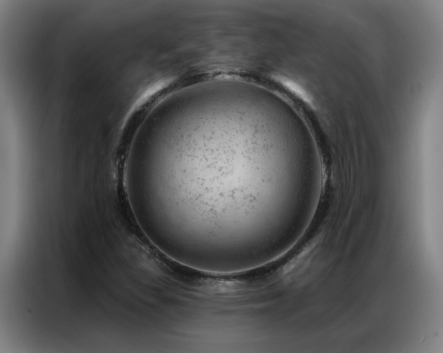 X0000087381309200704201238
