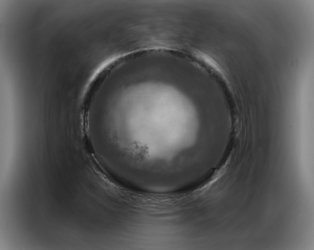 X0000087381310200704201238