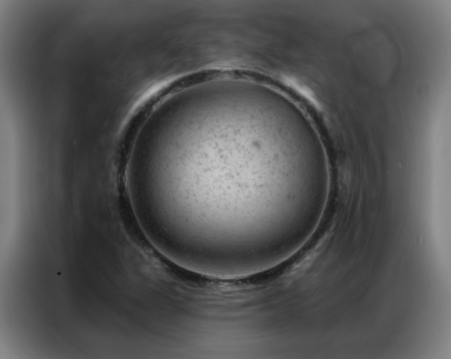 X0000087381311200704201238
