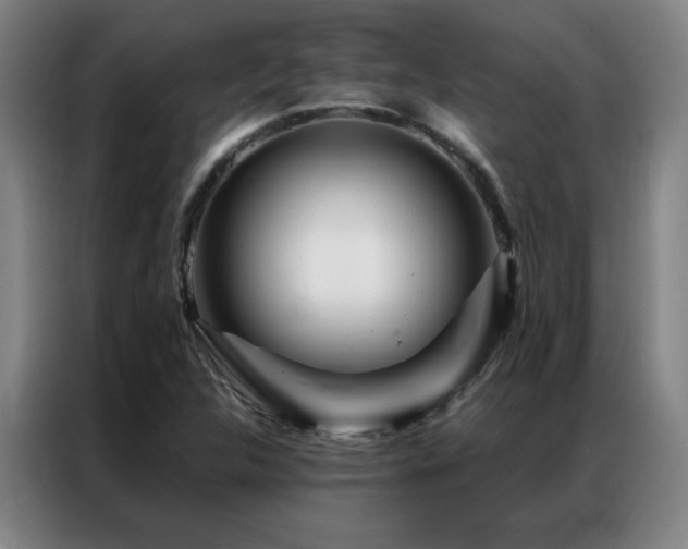 X0000087381312200704201238