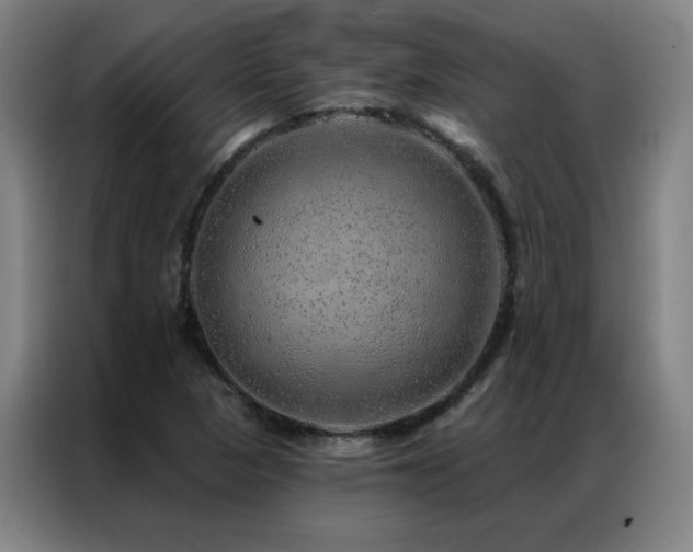 X0000087381313200704201238
