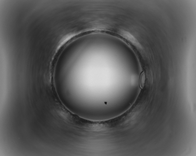 X0000087381316200704201238