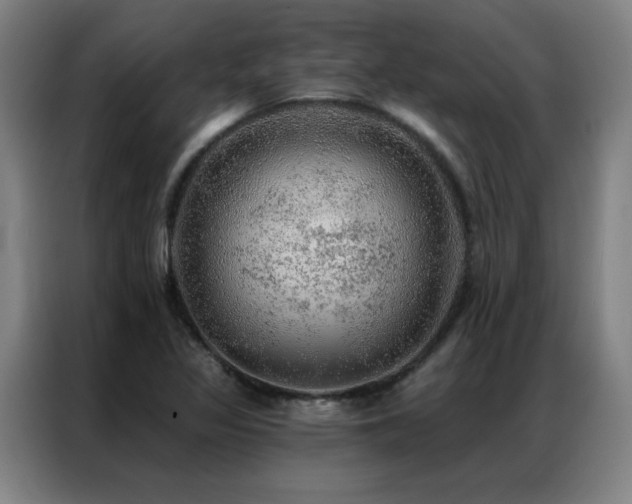 X0000087381317200704201238
