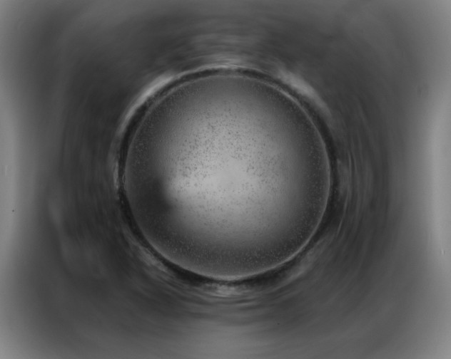 X0000087381318200704201238