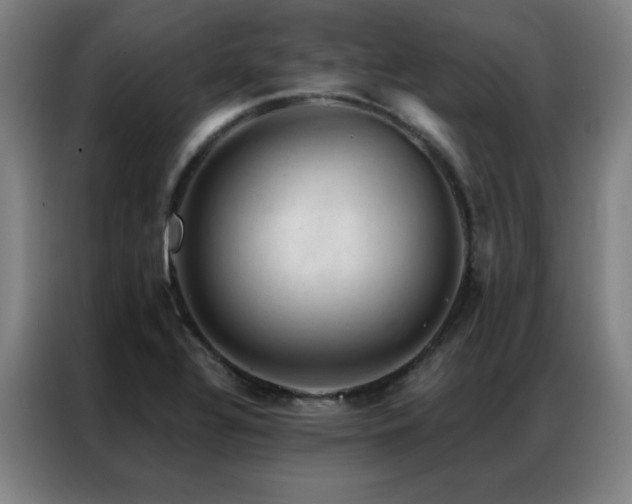 X0000087381320200704201238
