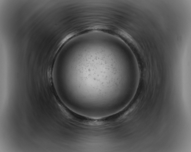 X0000087381321200704201238