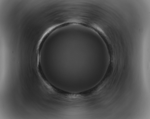 X0000087381323200704201238