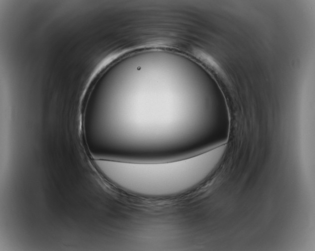 X0000087381324200704201238