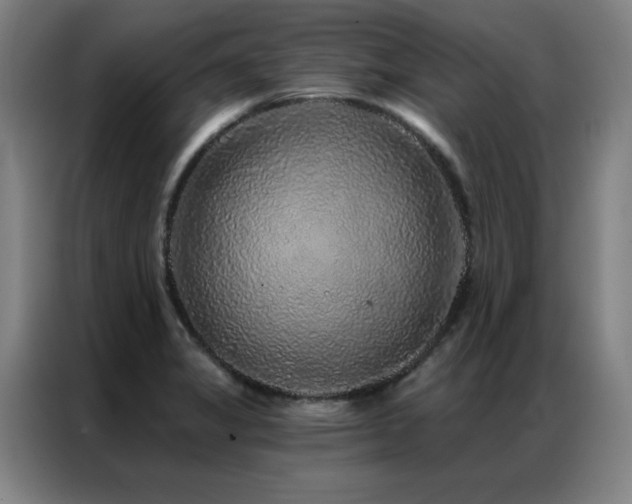 X0000087381325200704201238