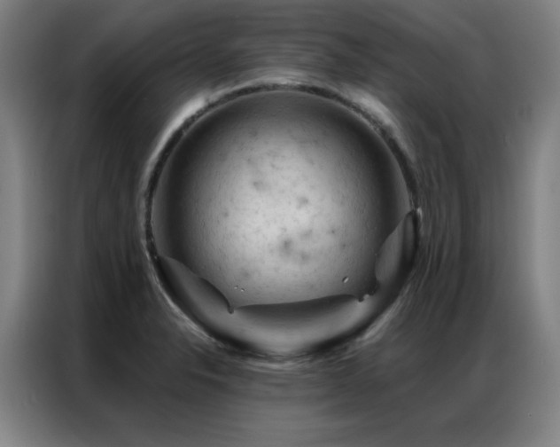 X0000087381326200704201238