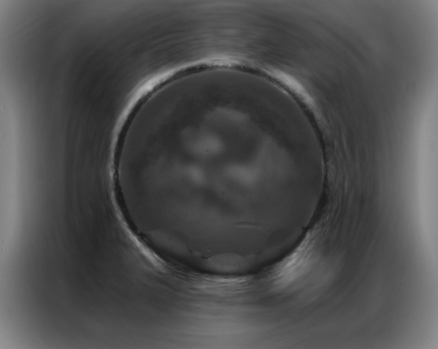 X0000087381327200704201238