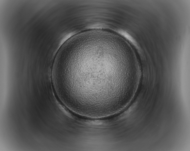 X0000087381329200704201238