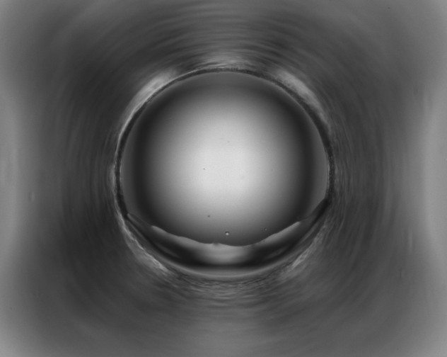 X0000087381330200704201238