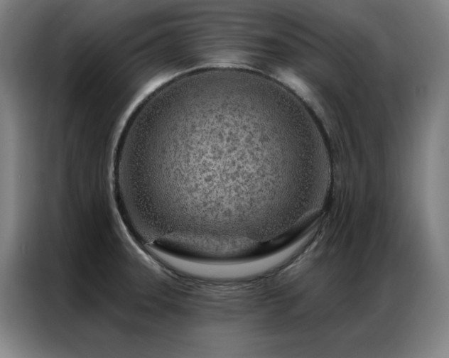 X0000087381331200704201238