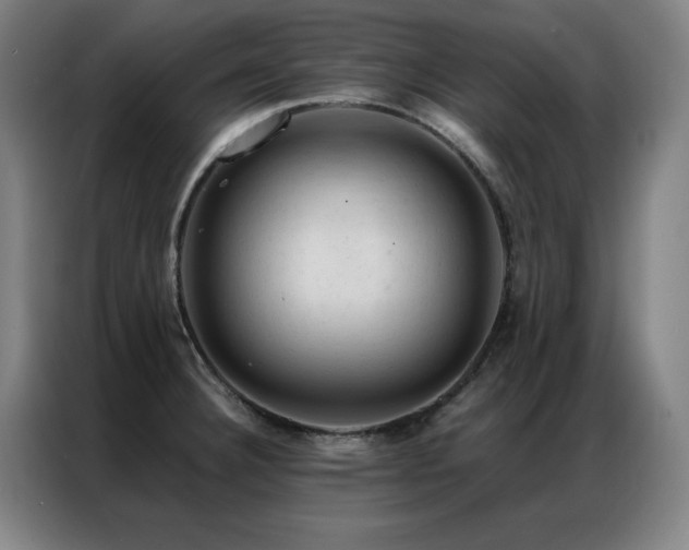 X0000087381332200704201239