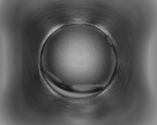 X0000087381333200704201239