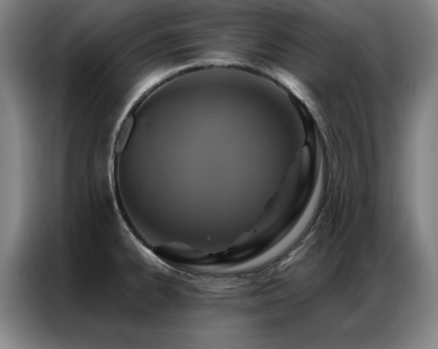X0000087381334200704201239