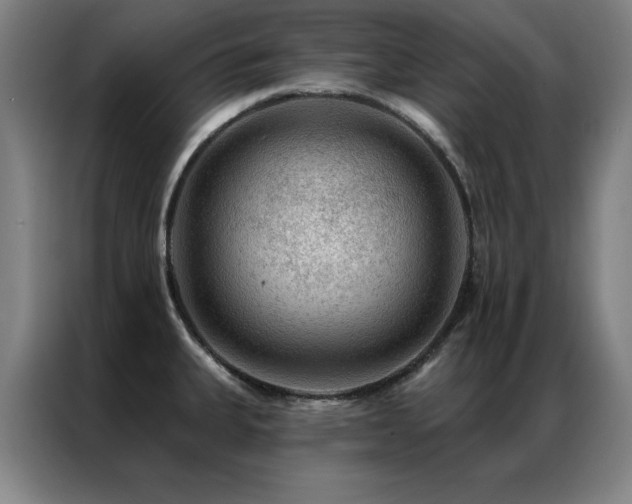 X0000087381335200704201239