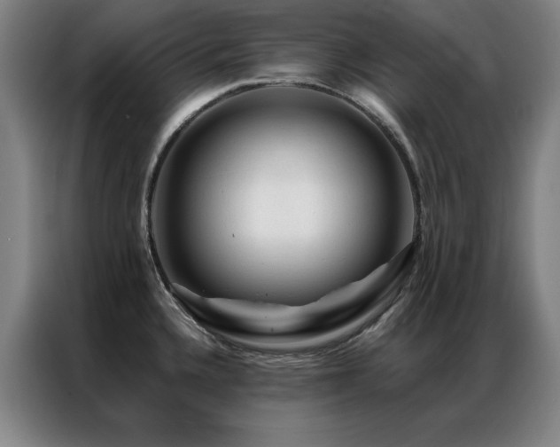 X0000087381336200704201239