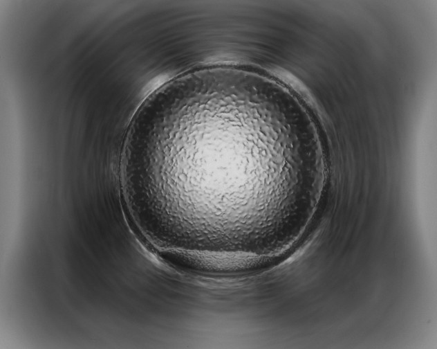 X0000087381337200704201239