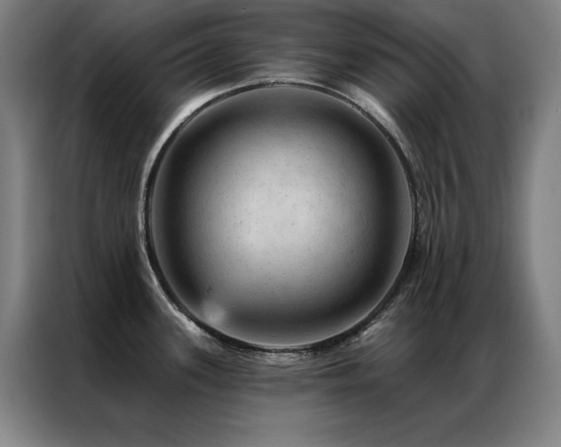 X0000087381339200704201239