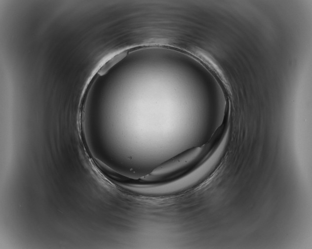 X0000087381340200704201239