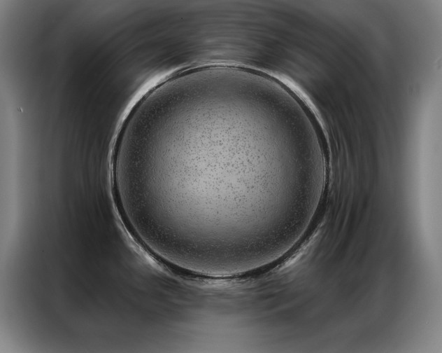 X0000087381341200704201239