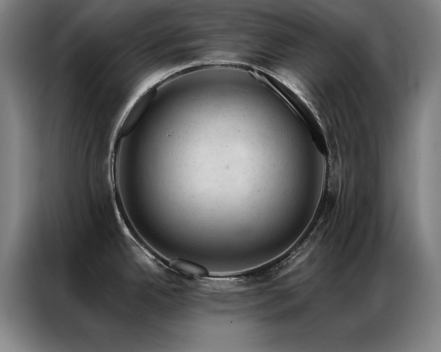 X0000087381342200704201239
