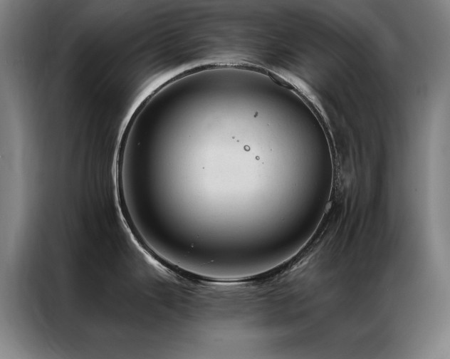 X0000087381343200704201239