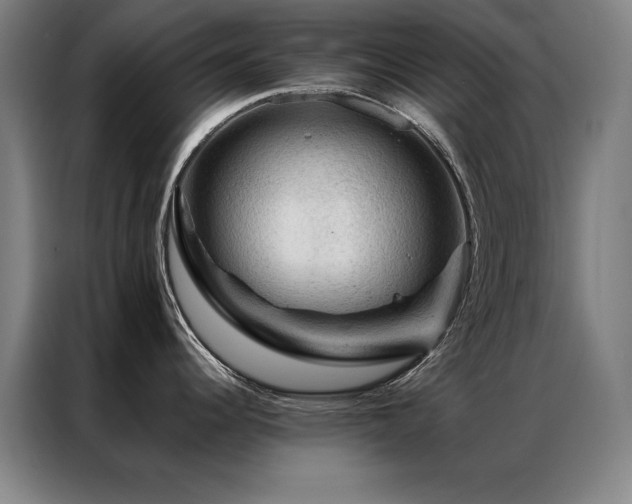 X0000087381344200704201239