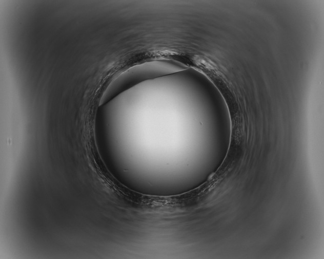 X0000087381345200704201238