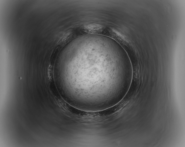 X0000087381346200704201238