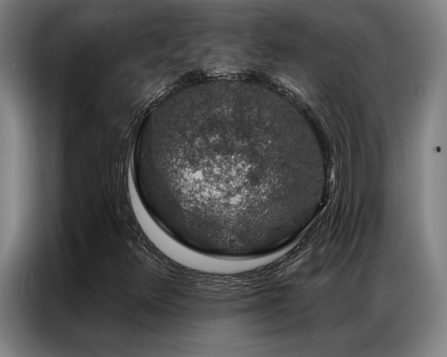X0000087381348200704201238