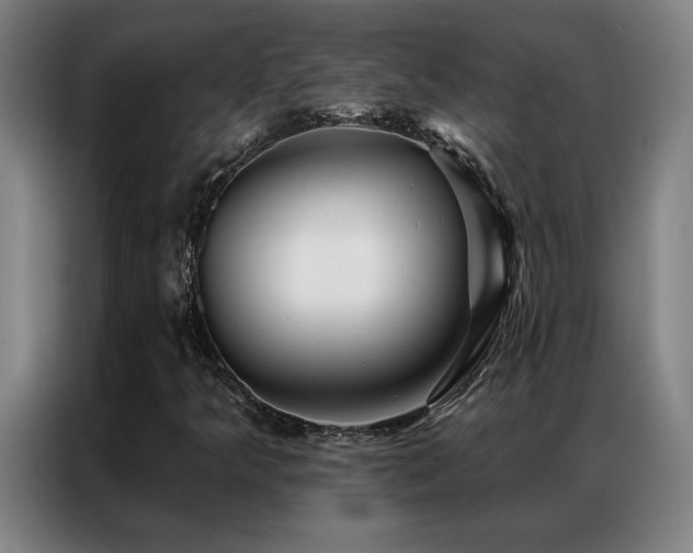 X0000087381349200704201238