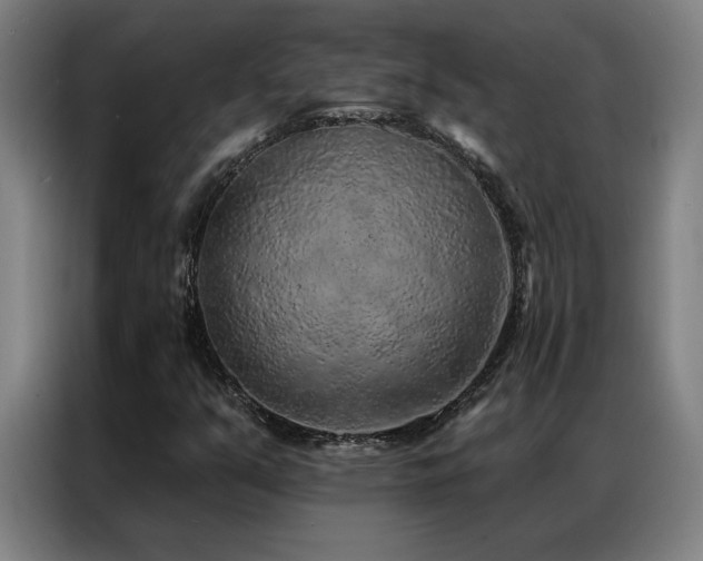 X0000087381351200704201238